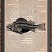 see more listings in the Carteles del DICCIONARIO section