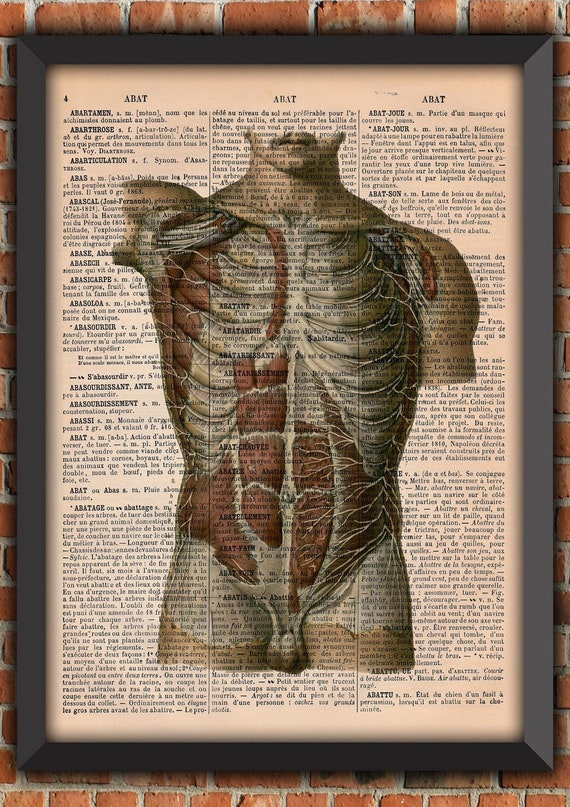 Dictionary print muscles ribs Anatomy Doctor Spooky human medicine Vintage Art Print Home Decor Gift Original Dictionary Page Print upcycled