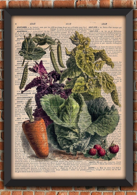 vintage prints kitchen poster illustration vegetables old botanical gardener vegan vegetarian vegan authentic french book page garden