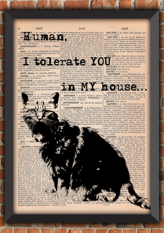 CAT crazy cat lady Fur Baby Retro Vintage Art Print Home Decor Gift Poster Original Dictionary Page Print