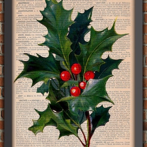 Holly plantas jardim flores santa visco capuz retro vintage arte impressão decoração da parede presente cartaz original dicionário página impressão