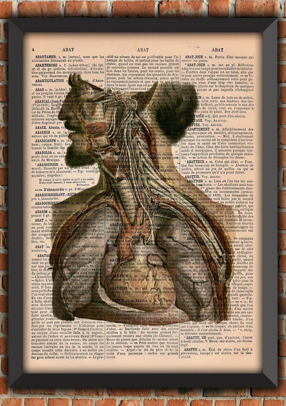 Affiche anatomie Humain Médecine homme écorché cœur poumon planche ...