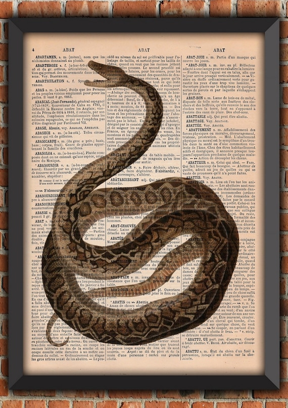 Snake Cabinet Odd French Vintage Art Print Home Decor Gift Poster Original Dictionary Page Print