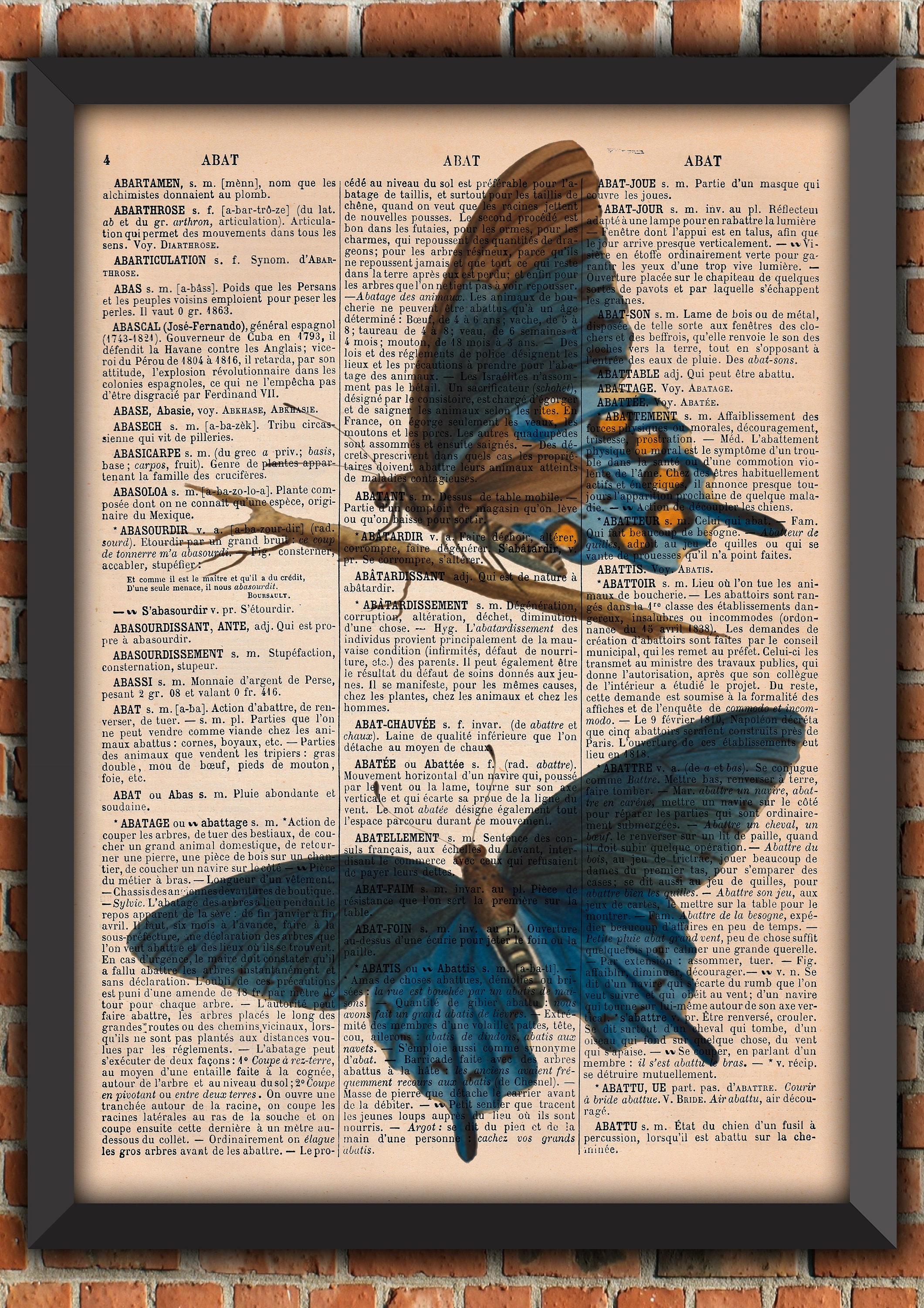 Papillon Bleu Cabinet Curiosités Insecte Victorien Vintage Art Print Décoration Murale Cadeau Origin