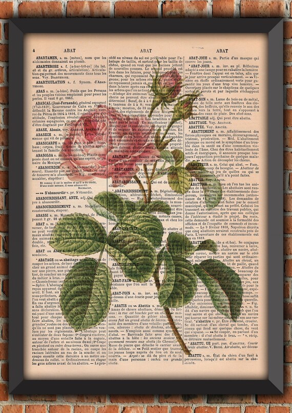 Flower Cabbage Rose Bouquet Garden Shabby Chic Mother's Day Plants Vintage Art Print Home Decor Gift Poster Original Dictionary Page Print