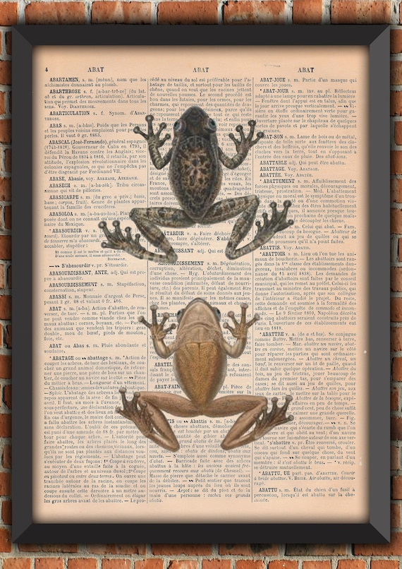 Frog Toad Cabinet Odd French Vintage Art Print Home Decor Gift Poster Original Dictionary Page Print