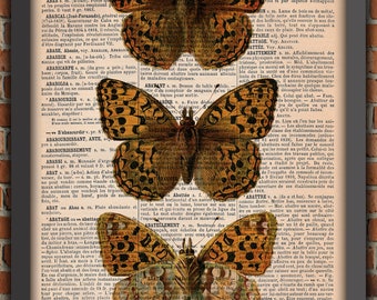 Papillons Cabinet Curiosités Insecte Victorien Vintage Art Print Décoration Murale Cadeau Poster Original Dictionnaire Page Impression