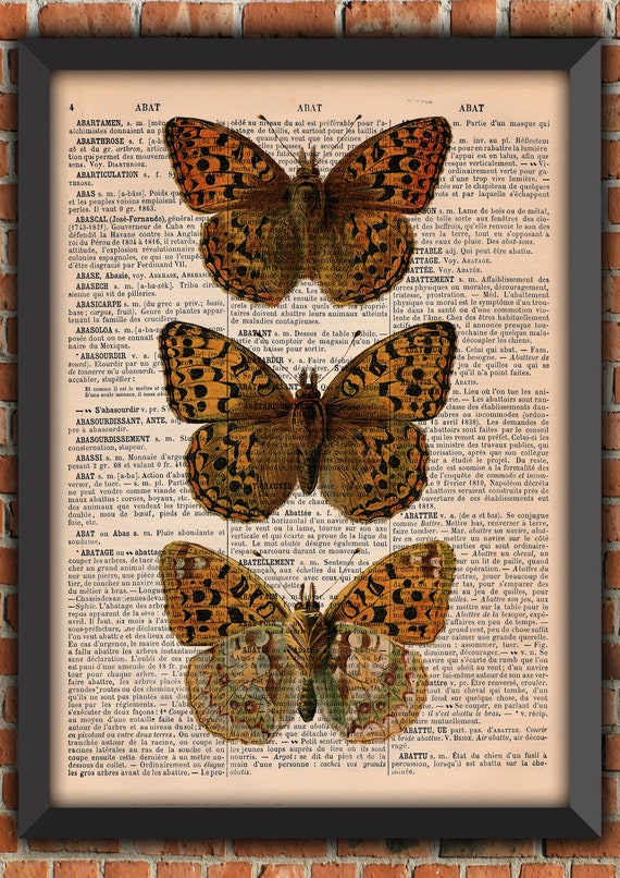 Butterflies Bugs Curiosity Cabinet Odd Insect Wings Vintage Art Print Home Decor Gift Poster Original Dictionary Page Print
