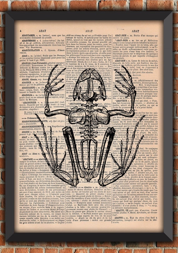 skeleton toad cabinet of curiosities original paleontology Vintage Gift Poster Original Dictionary Page Print old French paper