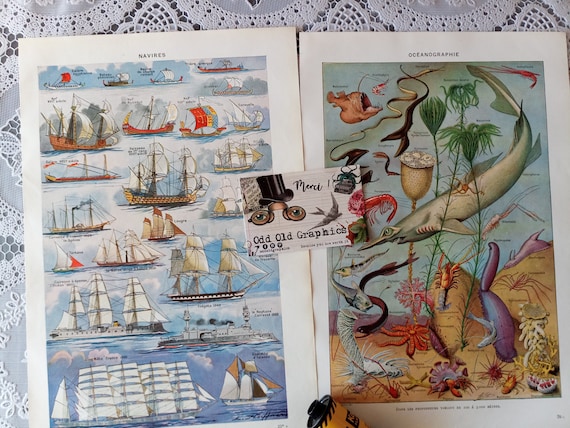 Set 2 prints, Marine decor, coastal decor, oceanography poster, diving poster, fisherman decor, authentic vintage poster, gift from France