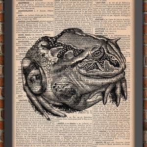 Goblincore, Krötenplakat, Kuriositätsplakat, Hexe, gruselig, Vintage-Kunstdruck, Wanddekoration, originelles Geschenk