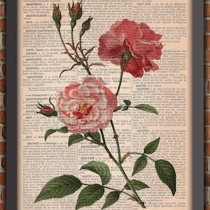 Flor Día de la Madre Shabby Chic Jardín Rosa Ramo Vintage Arte Impresión Pared Decoración Regalo Cartel Original Diccionario Página Impresión