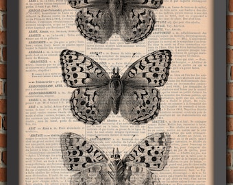 BW Butterflies Bugs Curiosity Cabinet Odd Insect Wings Vintage Art Print Home Decor Gift Poster Original Dictionary Page Print