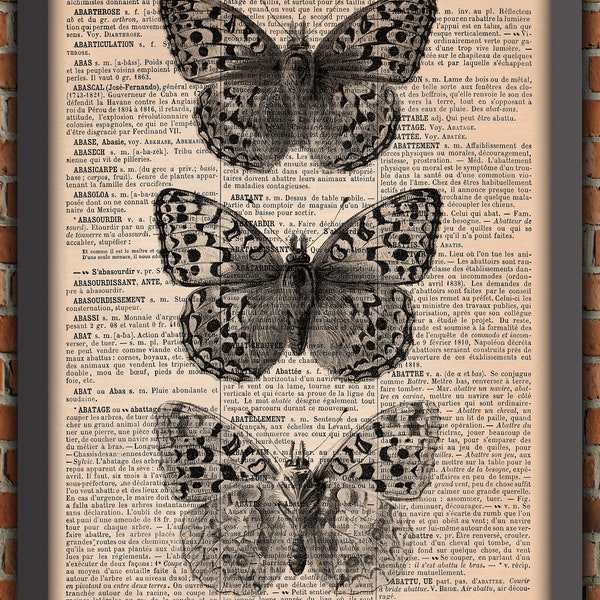 NB Papillons Cabinet Curiosités Insecte Victorien Vintage Art Print Décoration Murale Cadeau Poster Original Dictionnaire Page Impression