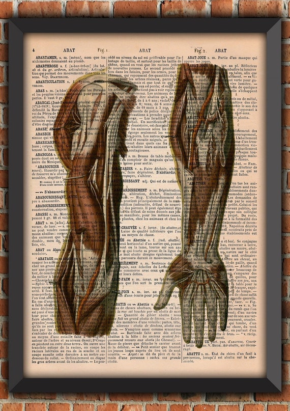 Dictionary print muscles hand  arms Anatomy Doctor human medicine Vintage Art Print Home Decor Gift Original Dictionary Page Print upcycled
