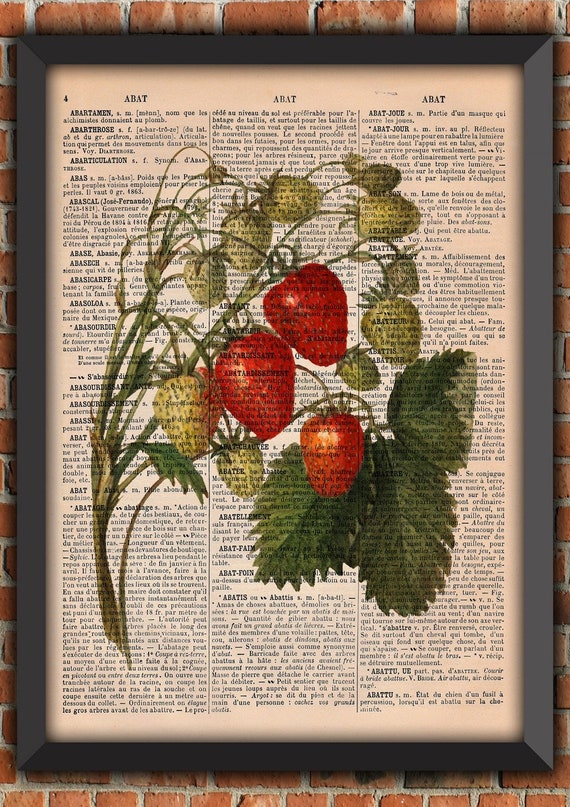 kitchen poster fruit  Strawberries vegan Vintage gift botanical Art Print Home Decor Gift Poster Original Dictionary Page french book