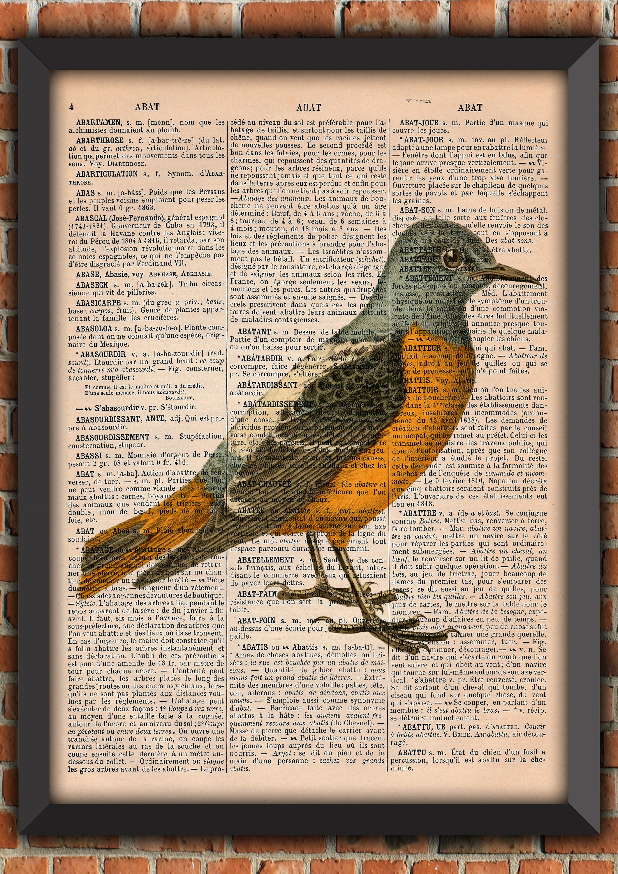 Affiche Oiseau Nature Vintage Art Print Décoration Murale Cadeau Poster Original Dictionnaire Page I