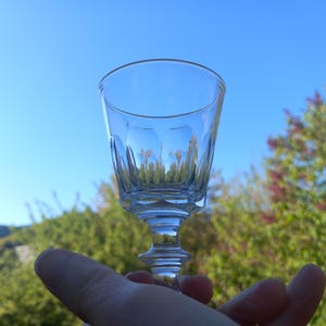 Antikes Kristallportglas, Caton-Muster, 19. Jahrhundert
