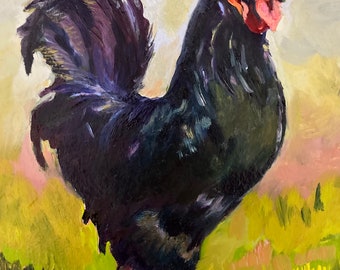 Black Rooster