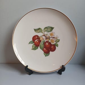 Vintage Lorenze Hutschenreuther large dining plate, 11.5 inches, porcelain made in Germany