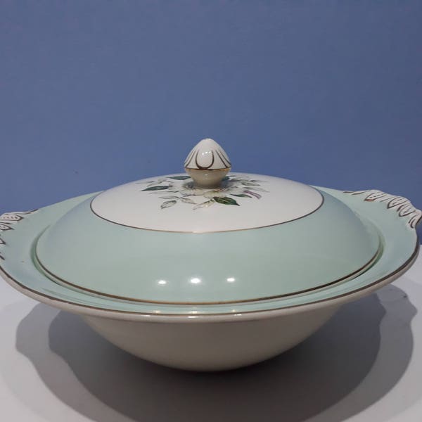 Johnson bros/brothers Pareek vegetable tureen, vintage lidded serving dish, mid century mint green and floral retro dish, made in England