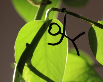 May include: A close-up shot of vibrant green leaves with a black stick figure hanging from a stem. The leaves are illuminated by sunlight, creating shadows and highlighting the plant's texture. The background is a soft, neutral tone.