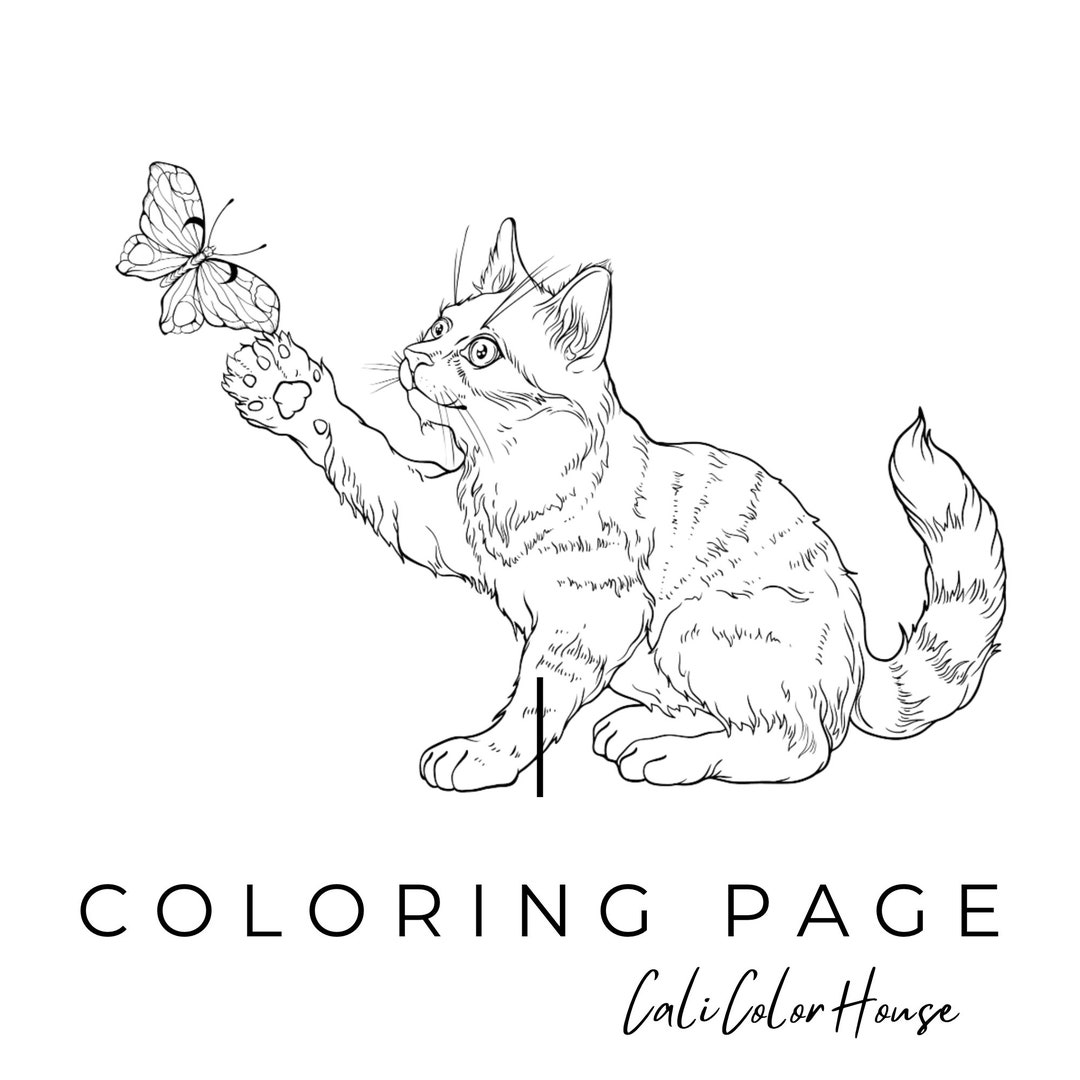 Printable Cat and Butterfly Coloring Page in PNG Format - Etsy