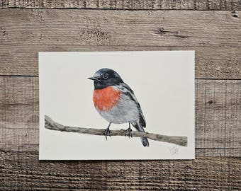 Aquarelle originale d'oiseau