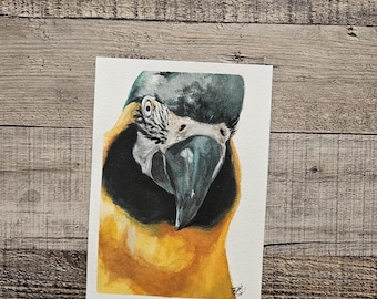 Aquarelle originale de perroquet