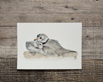 Aquarelle originale de pluvier siffleur