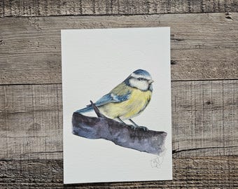 Aquarelle originale d'oiseau