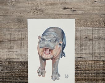 Peinture originale à la gouache Moo Deng