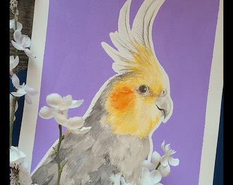Cockatiel Peinture originale à l’aquarelle