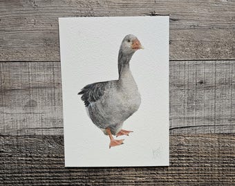 Aquarelle originale d'oie