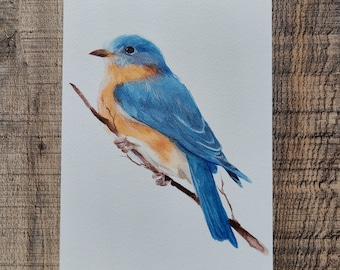Impressions à l’aquarelle Blue Bird