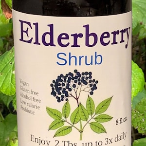 Elderberry Shrub