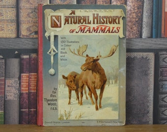 A Natural History of Mammals - Rev Theodore Wood - Vintage Book - Natural History