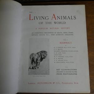 Lebende Tiere der Welt – Eine beliebte Naturgeschichte – Band I – Antikes Buch