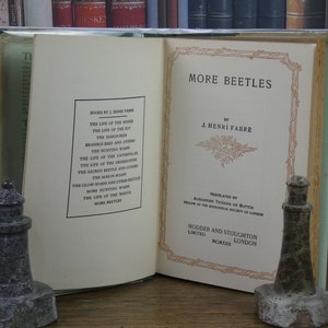 More Beetles - Henri Fabre - Antique Book - 1920s