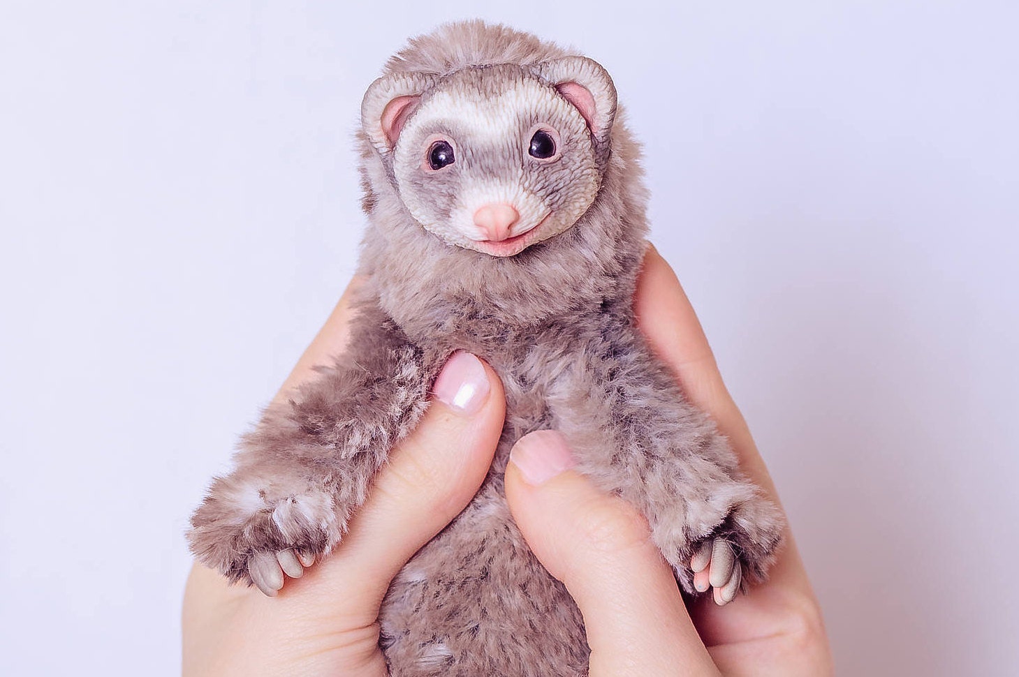 cuddly ferret toy