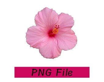 Hibiscus PNG, Tropical Flower PNG, Hawaiian Flower, Summer Digital Image File for DIY crafts