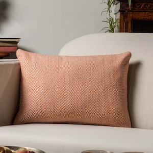 May include: A rust-coloured throw pillow with a herringbone pattern. The pillow is on a light beige sofa.
