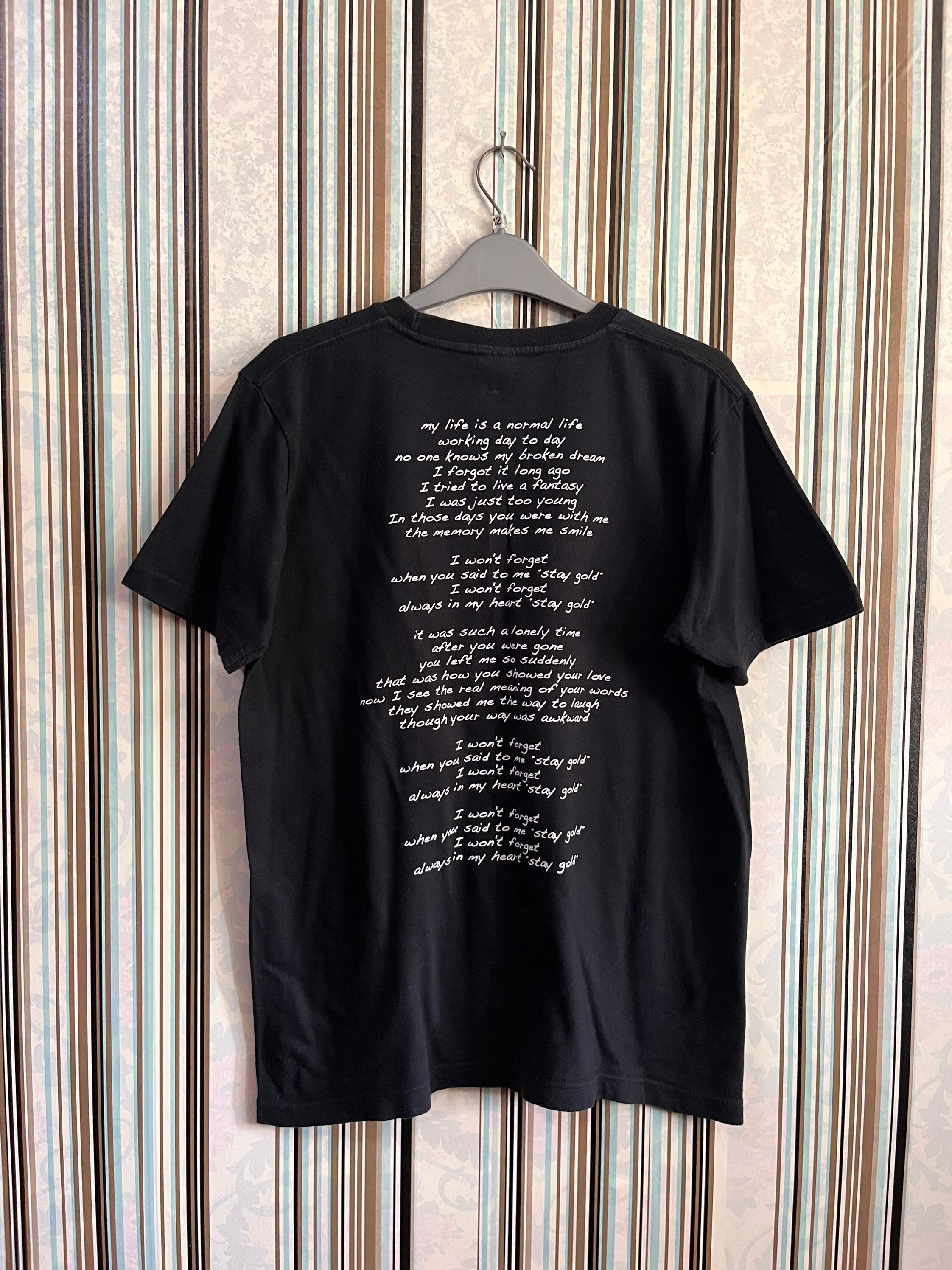 Hi Standard Tshirt - Etsy Hi Standard Tshirt - Etsy