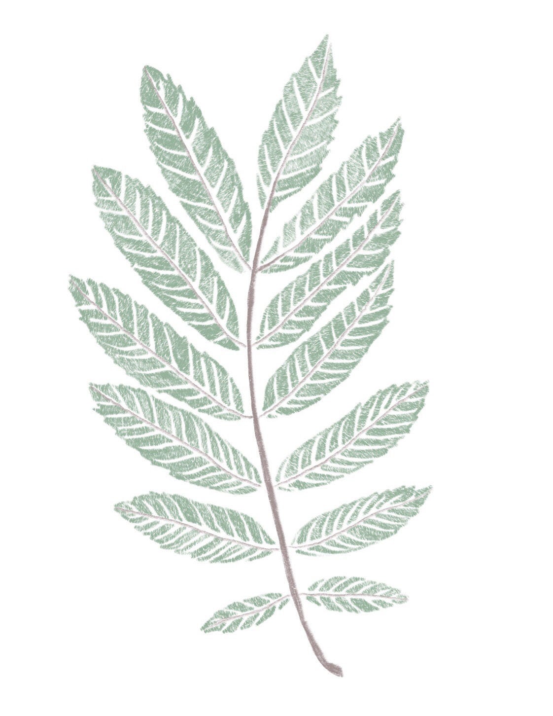 Greenery Digital Download - Greenery Printable - Foliage Art - Plant ...