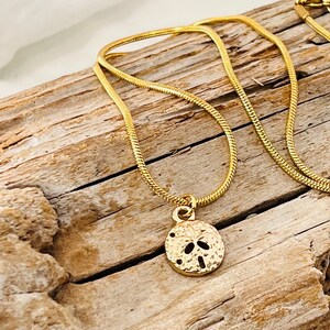 Sand Dollar Pendant, Gold Tone, on a Stainless Steel Gold Plated Snake Chain Necklace J386