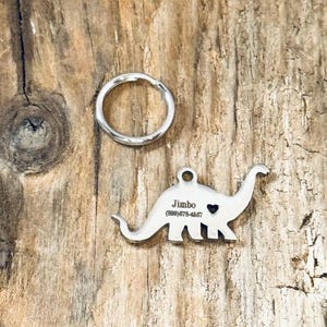 Jimbo, Breloque dinosaure en acier inoxydable gravée personnalisée, Médaille d'identité, Médaille pour animal de compagnie, Médaille d'identification pour animal de compagnie, Carte d'identité pour chien, J983