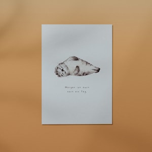 Postkarte Robbe // Grußkarte, Spruch, DIN A6