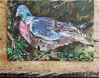 A6 Wood pigeon in the Ivy berries postcard