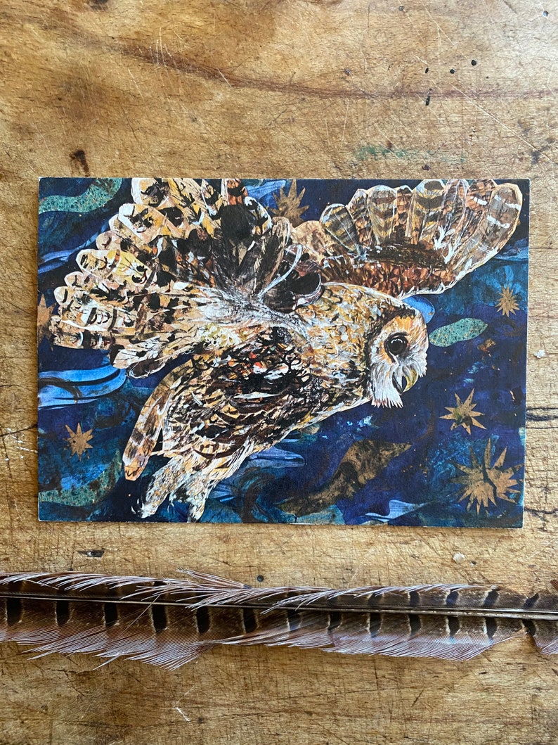 A6 Night owl postcard image 1