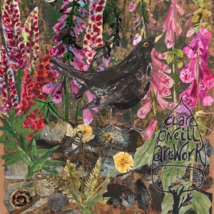 Blackbird in the foxgloves fine Art Giclèe print.